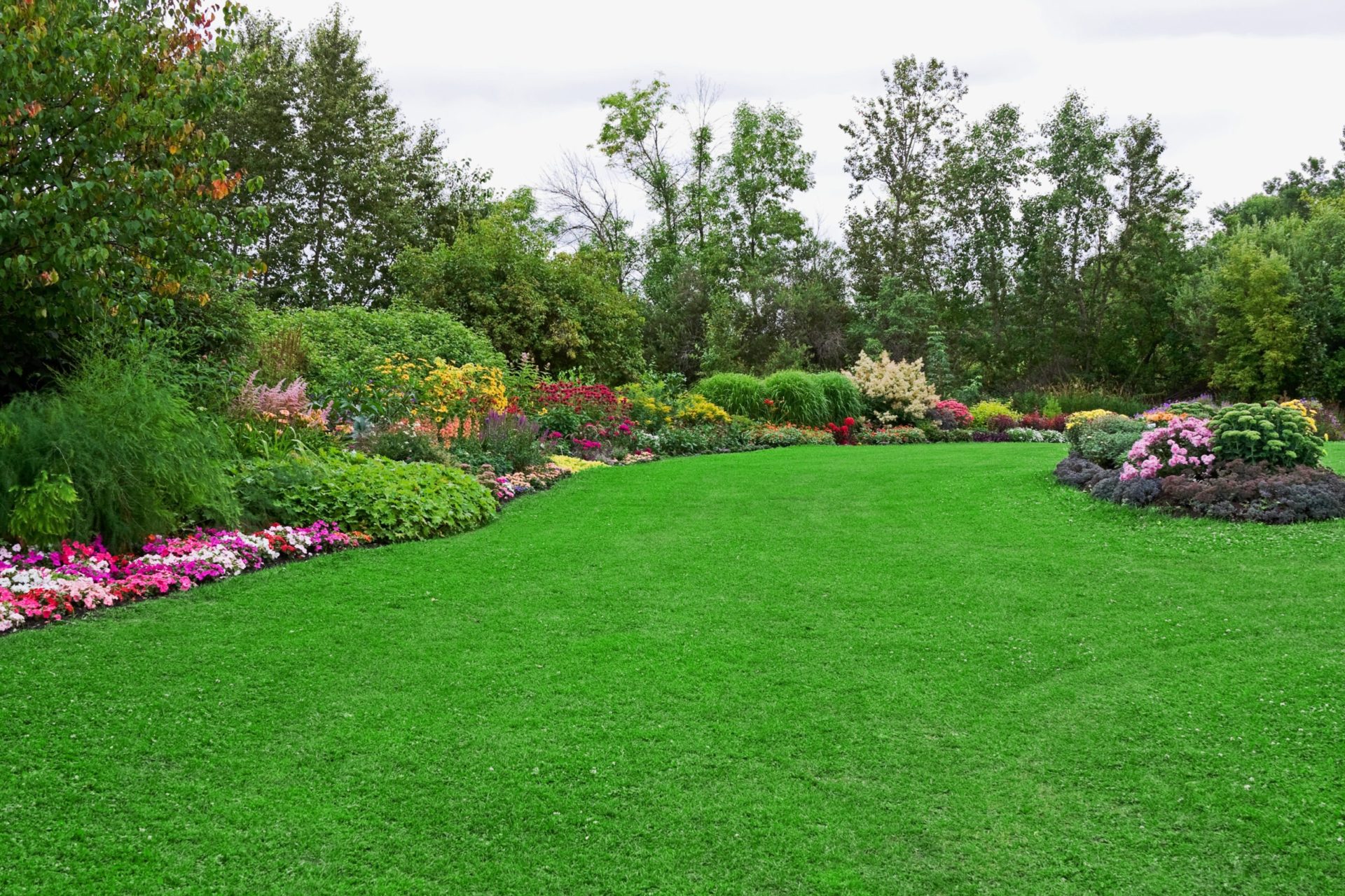 Green lawn (with a bit of clover) in a colorful landscaped formal garden.